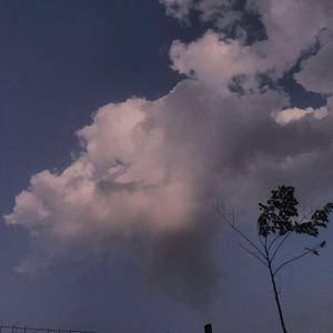 国产精品亚洲一区二区无码四虎
